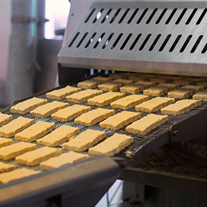 Processed food on assembly line