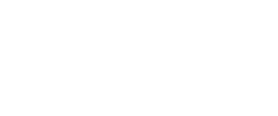 APV logo