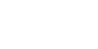 Sondex logo